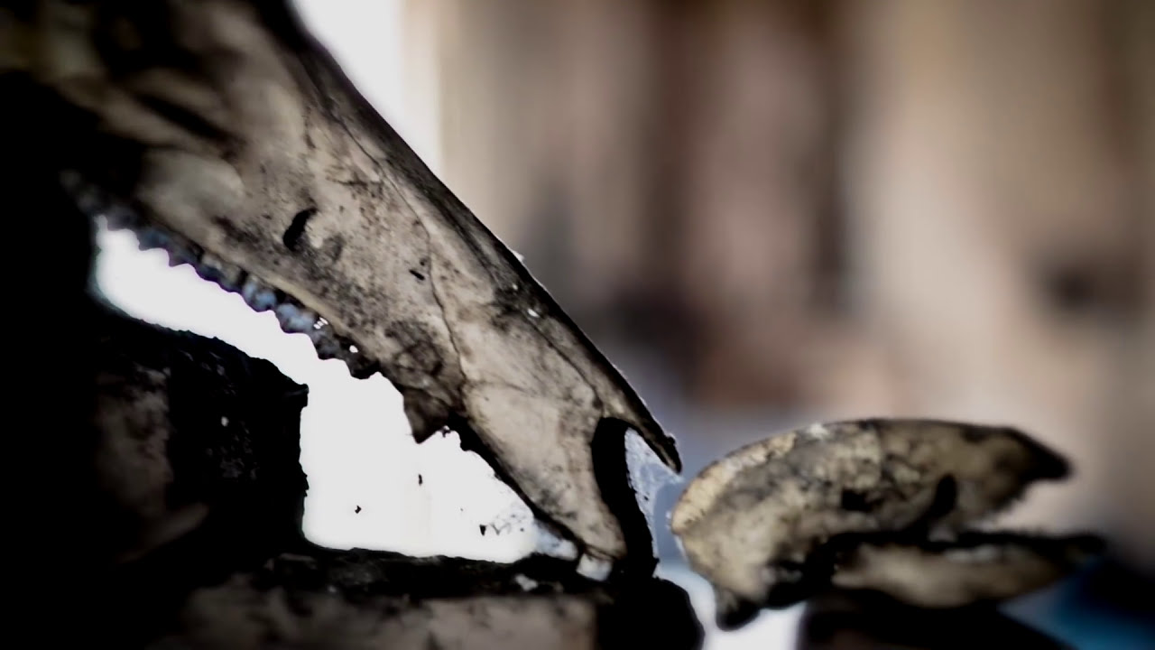 Promotional video thumbnail 3 for Illogistical Resource Dept.