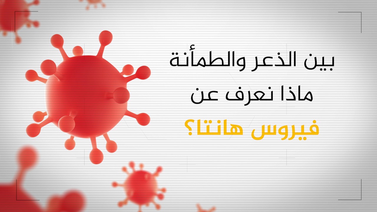 فيديو | بين الذعر والطمأنة.. ماذا نعرف عن فيروس هانتا؟