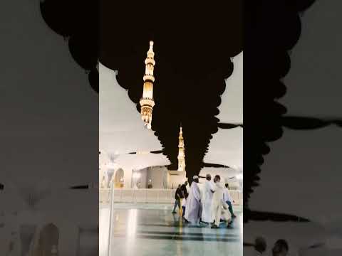 subhanallah subhanallah  💐 Masjid-e-Nabawi #subscribe #allah#viralvideo #madina #islamicvideo