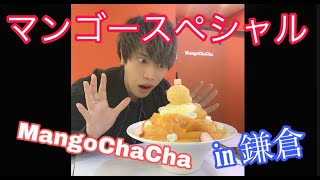 マンゴーチャチャ食べてみた！ 〜In 鎌倉〜【水曜担当】