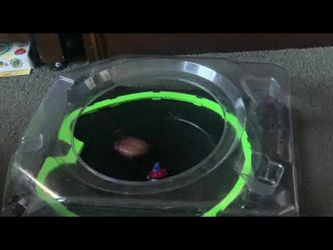 Soar Phoenix just Annihilated Cobalt Dragoon!!😱