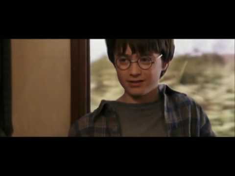 Harry Potter And The Suicidal Chocolate Frog