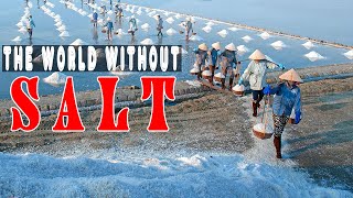 What If Salt Never Existed? - History Documentary