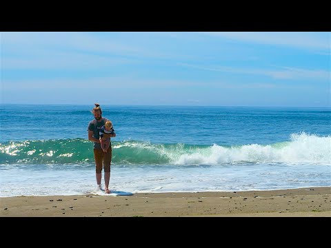 BEACH DAY! Video