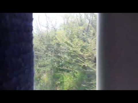 A bordo dell'IC 703. Tra Montecalvo e la galleria Cristina