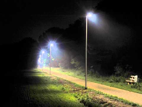 Shed - Princeza naseg sveta (2015 Serbian Rap)