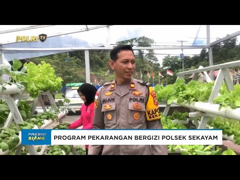 POLSEK SEKAYAM PANEN TAHAP II DALAM ''PEKARANGAN BERGIZI''