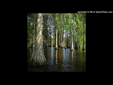 WATER GHOST ORCHESTRA