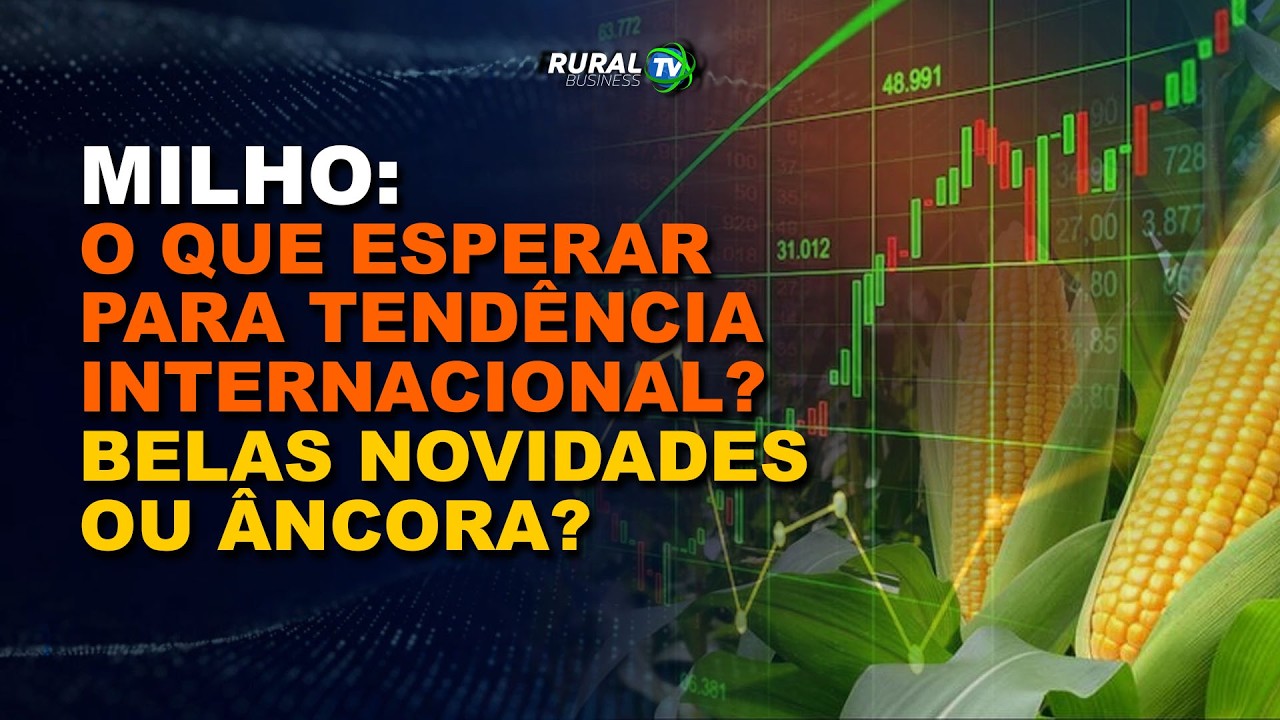 MILHO: O QUE ESPERAR PARA TENDÊNCIA INTERNACIONAL? BELAS NOVIDADES OU ÂNCORA?