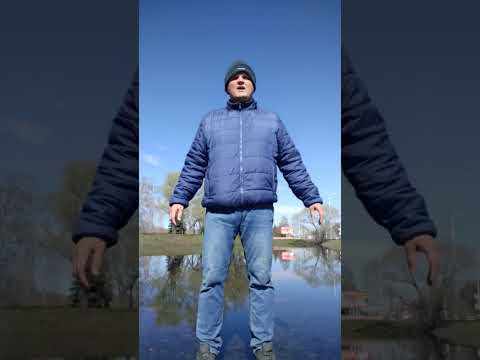 3 мая 2024 г.