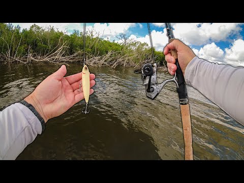 Fishing Flats for Snook on YouTube