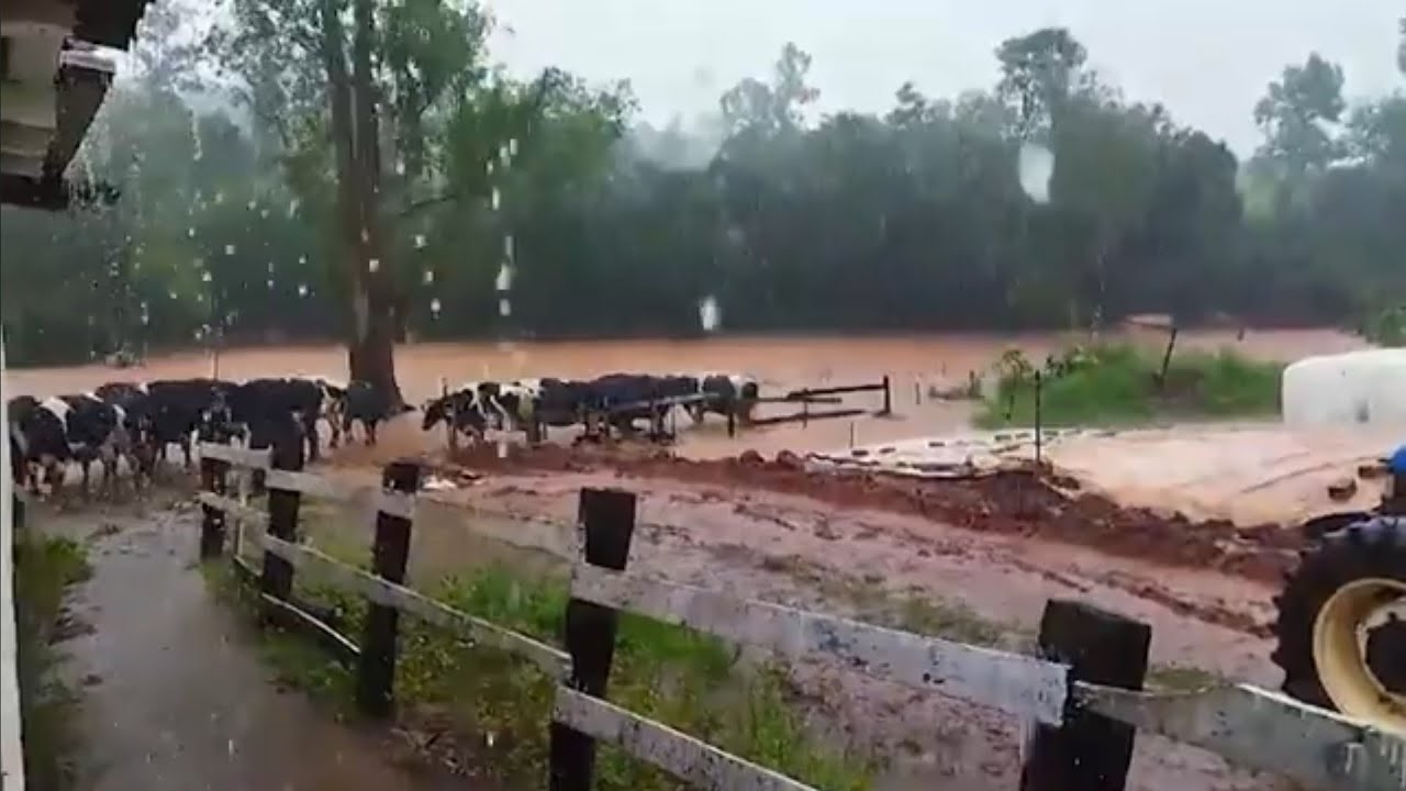 Agro. Do campo pra você - 18 de maio de 2024