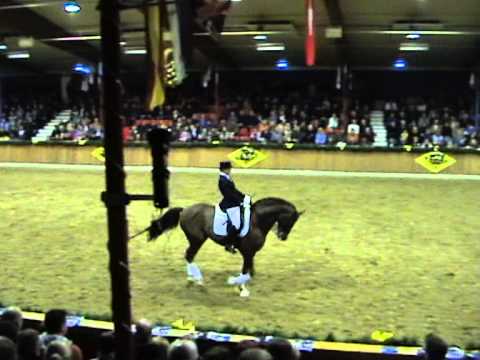 Belissimo M hengstenshow kathmann 19 February 2011