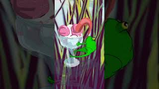Ice Cream🍧🍧 | Funny Frog🐸 (Animation Short) #shorts