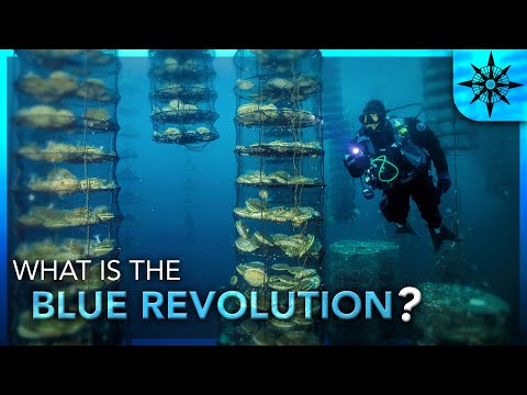 What is the Blue Revolution?