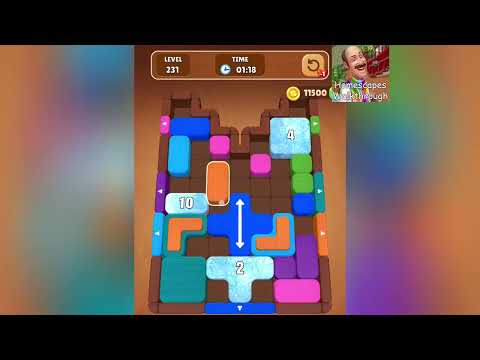 Wood Escape Color Block Level 231