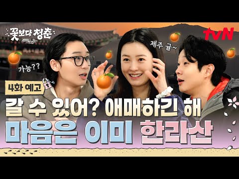 tvN｜済州島に行きたい気持ちが大きくなった🏝️ ほんとに大きい！！ もうハルラボンくらい🍊｜『花より青春：リミテッドエディション』4話予告編