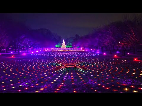 A Dazzling display, lightscape at BBG KefamC