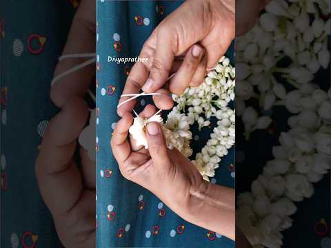 Jasmine flower garland/how to string jasmine flowers closely in traditional method #mallipoo #shorts