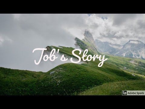 Job's Story