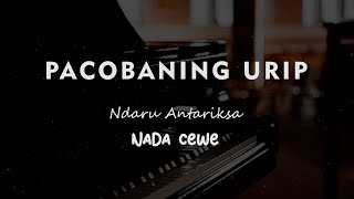 Download lagu PACOBANING URIP // Ndaru Antariksa // KARAOKE PIANO AKUSTIK NADA CEWE ( FEMALE ) mp3 Download lagu PACOBANING URIP // Ndaru Antariksa // KARAOKE PIANO AKUSTIK NADA CEWE ( FEMALE ) mp3
