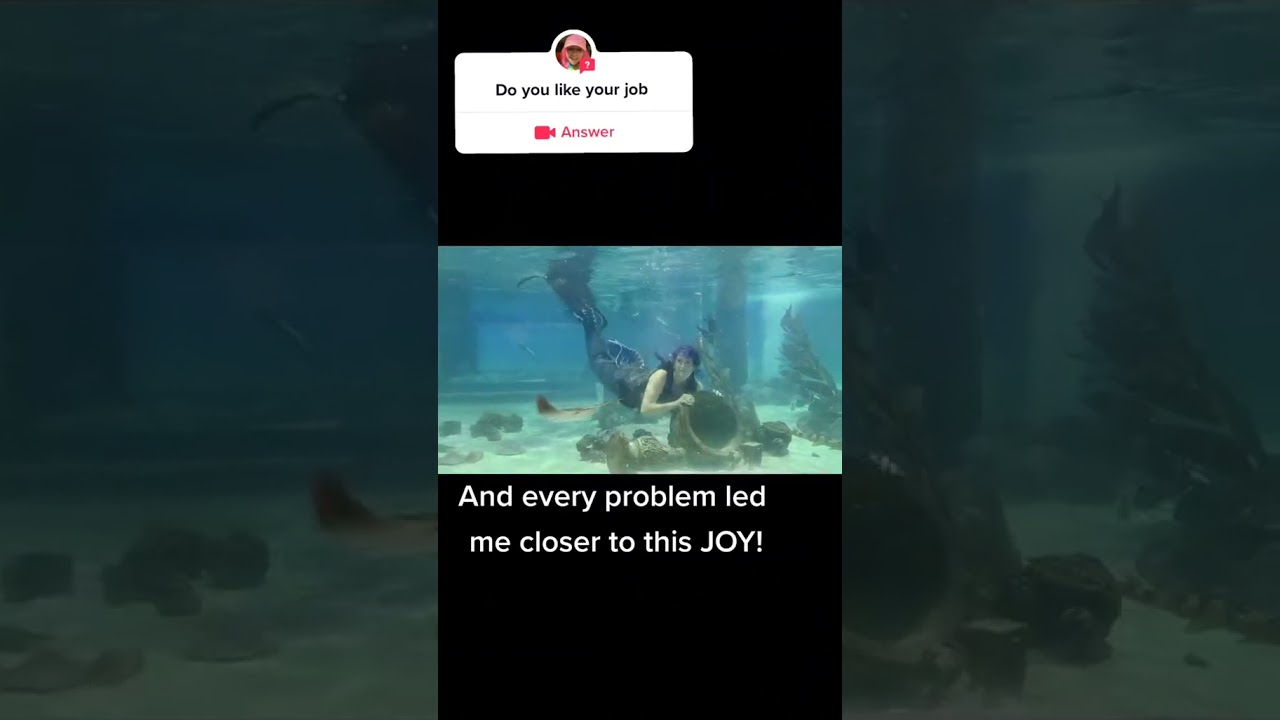 Promotional video thumbnail 5 for Mermaid Meko (& Friends!)