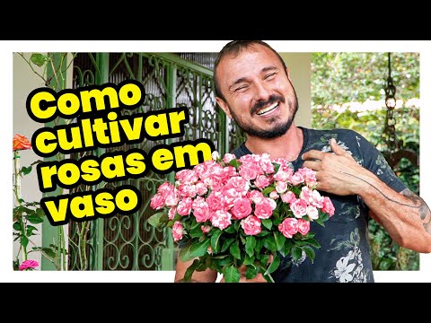 HOW TO GROW ROSES IN A VASE