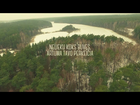Iš nieko - Nelieku koks buvęs