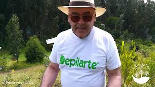 Depilarte en Cajicá