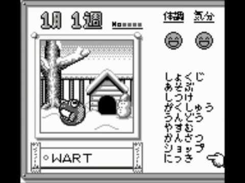 Let's Not Play Animal Breeder 2 - Tamafrogtchi