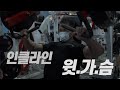 인클라인 머신 프레스 ㅣ D컵을 향한 가슴운동 꿀팁 (feat.교링)