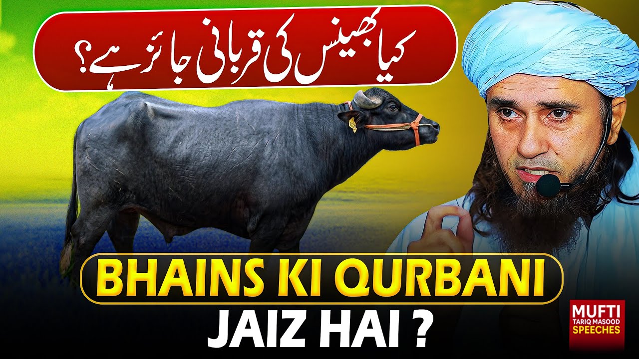 Bhains Ki Qurbani Jaiz Hai ? | Mufti Tariq Masood Speeches 🕋