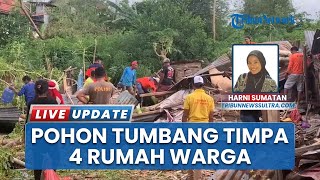 Pohon Tumbang Timpa 4 Rumah Warga di Baubau Sulawesi Tenggara Gegara Hujan Angin Kencang