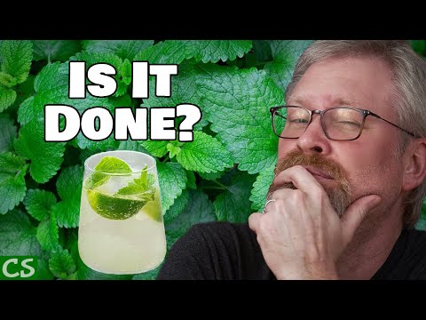 Mojito Kilju Update and Racking - Racking Kilju Wine