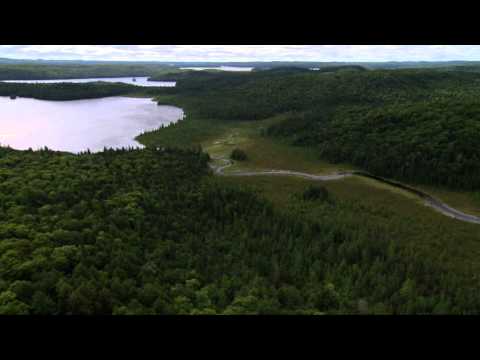 The Loggers of Algonquin Park (www.algonquinpark.on.ca)
