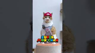 もしマリオが猫だったら🐈　　# #かわいい #cat #もんちゃん #cute #猫動画  #ねこ #ネコ #元野良猫 #保護猫 #賢い猫 #cutecat #猫の散歩 #mario