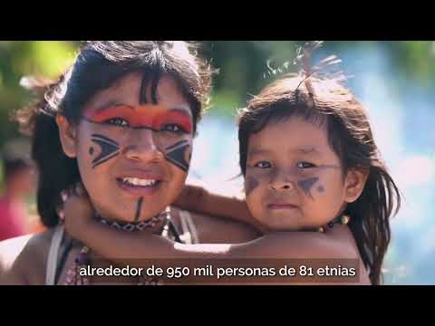 Reserva de Biosfera Sur de Alto Paraná: biodiversidad, cultura y desarrollo sostenible en armonía
