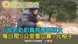 為救罹癌孫女　老奶奶每日賣1元柚子