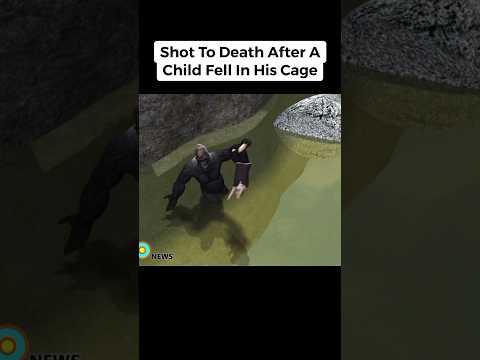 Worst Ways Animals Have Died 😱 (Part 6) #ytshorts