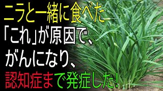 ニラと一緒に絶対に食べないでください！がんや認知症の原因になります！―ニラと最悪の組み合わせ3選と、慢性炎症と毒素を取り除く薬より効く最強レシピ総まとめ【春の山菜・デトックス効能・健康情報】