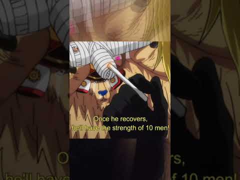Sanji, Zoro & Chopper funny moment! - One Piece
