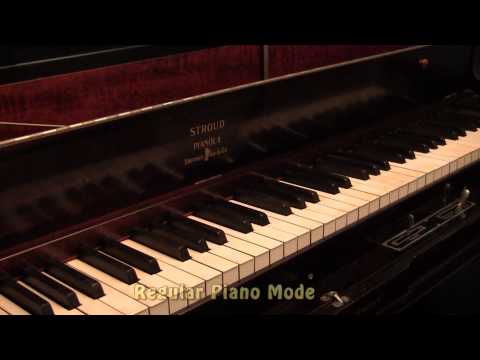 Salut A Pesth by Henri Kowalski