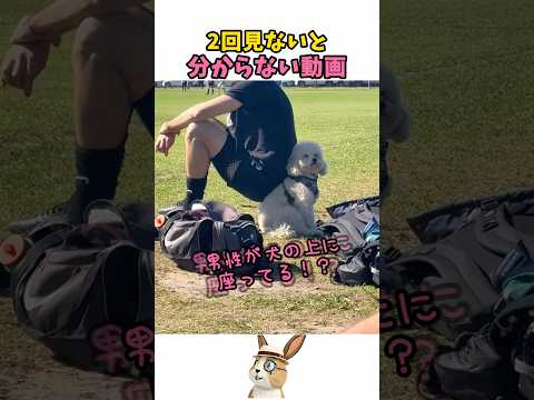 2回見ないと分からない動画