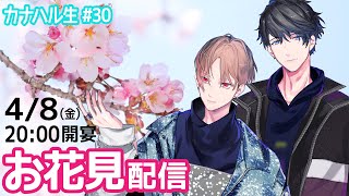 【カナハル生30】お花見配信【カナメとハルキー】
