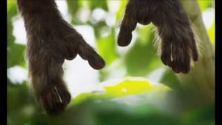 Isabel Sörling - Mad World (cover)