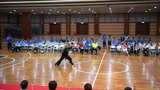 中國武學會 台北武風大會 演出-3