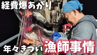 網に掛かる石は根魚が来るお告げ！セイカイ狙いの2寸6分の1枚網🐟️