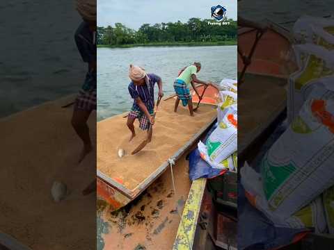 A fish farmer_s happiest time is feeding the fish🐠🐬🦈  #shorts #fishing