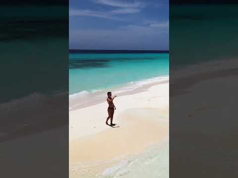 Beaches of Venezuela