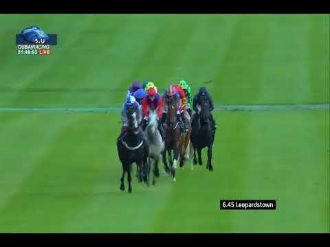 Qipco Irish Champion Stakes G1 - 09\09\2017 - Decorated Knight